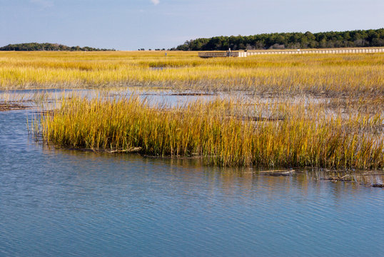 Salt Water Marsh in Murrells Inlet South Carolina USA