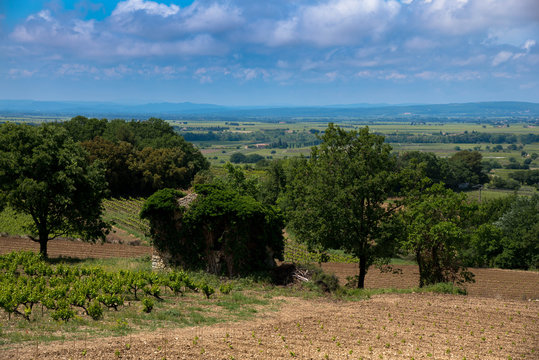 Landschaft in der Provence
