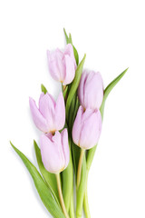 Bouquet of purple tulips isolated on white background
