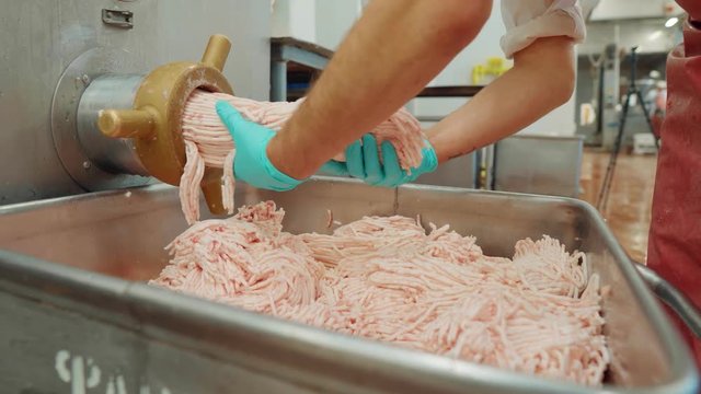 Meat mincing machine grinding meat in meat processing plant.