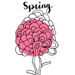 Cute spring card with pink flower isolated on white background. Vector illustration.