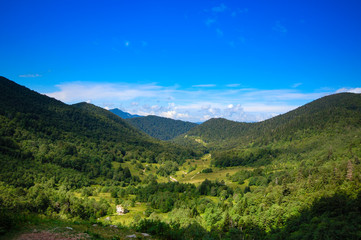 Fototapeta na wymiar Beautiful scenic forest mountain under blue sky