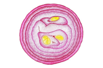 Round slice of red onion isolated on white background, top view.