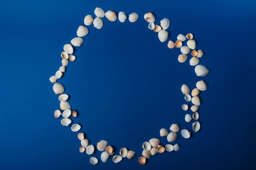 seashells on a blue background, place for text, summer, rest, sea and ocean. a circle of seashells