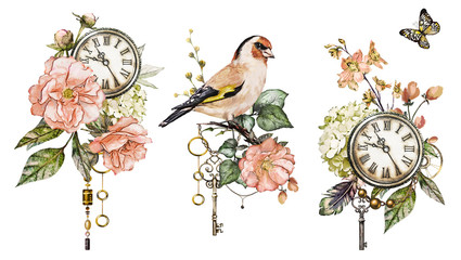 Fototapety  steam punk akwarela ilustracja z róż, zegar, mechanizm zegarowy, pióra, biżuteria, ptak, kwiaty. na białym tle. Vintage nadruk.