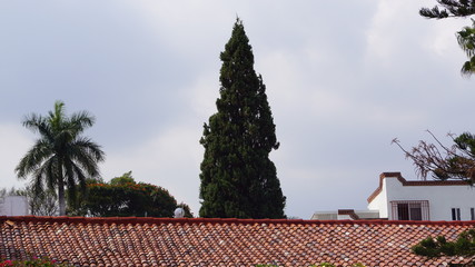 tarde nublada en casa