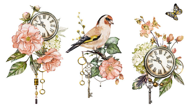 steam punk watercolor  Illustration with roses, clock, clockwork, feathers, jewelry, bird, Flowers.  isolated on white background. Vintage print.