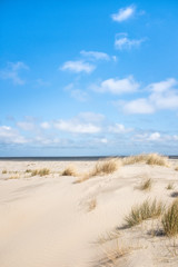 Fototapeta na wymiar Dünenlandschaft Nordsee mit Horizont, hochkant
