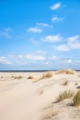 Foto op Plexiglas Noordzeeduinlandschap met horizon, rechtop © S. Engels