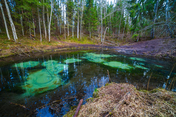Freshwater springs of Saula, Estonian landmark. Pure water and colored bottom of a pond in the forest.