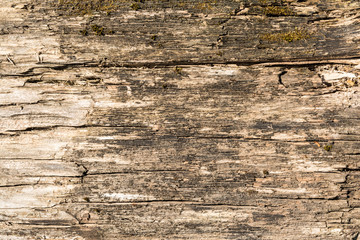 the texture of old dry weathered cracked wood, cracks along the fibers of logs, close-up abstract...