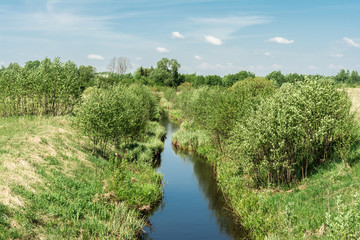 Fototapeta na wymiar narrow river flows through a field with trees to the horizon, a landscape background