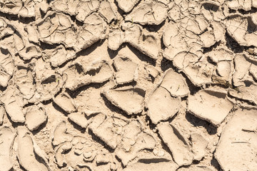 the surface texture dry cracked earth, close-up abstract background
