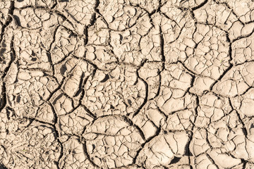 the surface texture dry cracked earth, close-up abstract background