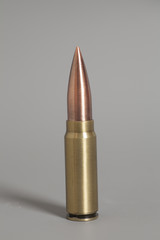 Bullet on gray background