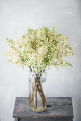 White lilac in glass vase on wooden table. Lots of buds. Floral natural backdrop. Flower shop concept