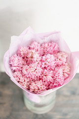 Bouquet of Beautiful pink hyacinths. Close-up spring flowers in vase on gray wooden table. bulbous plant.