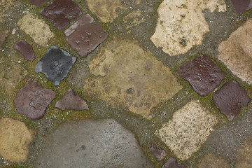 Wet cobblestones ground after the rain in Lvov