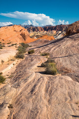 Fototapeta premium Geologische Formation im Valley of Fire bei blauem Himmel und warmer Nachmittagssonne