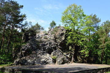 Der Rothsteiner Felsen, einmalig