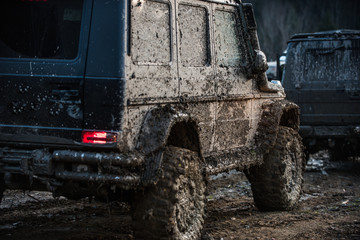 Dirty offroad cars on dark background, back view. © Volodymyr