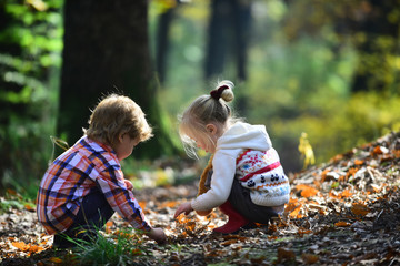 Kids activity and active rest. Children pick acorns from oak trees. Brother and sister camping in...