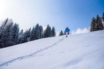 Hiker with snowshoes on snow trail in winter landscape of forest in Oberstdorf, Bavaria Alps in South of Germany. Beautiful landscape with coniferous trees and white snow. Winter sport activity.