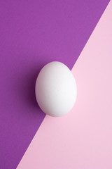 Chicken egg on purple pink diagonal flat lay background. Copy space
