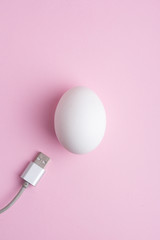 USB cable near white chicken egg on pink pastel background. Vertical view