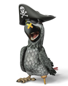 pirate parrot cartoon the silver feather one