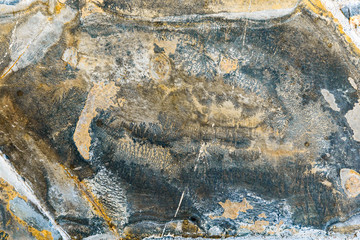Prehistoric plants fossils texture imprint on granite rock stone used as construction material to...