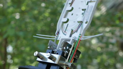 A network engineer in a server room with an optical cable.
