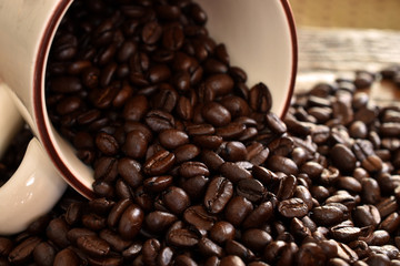 Coffee Bean Close Up