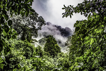 Peeking through the Trees to Watch Clouds Blowing through the Mountains of the Cloud Forest of the Chocoyero-El Brujo Nature Reserve in Nicaragua