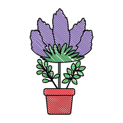 beautiful flower in pot houseplant vector illustration design