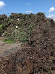 Kompostierung von Gartenabfall auf Mülldeponie
