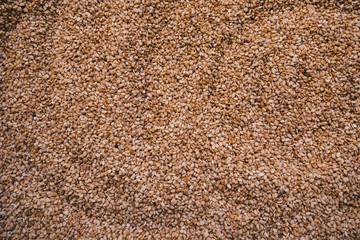 full frame shot of sesame seeds