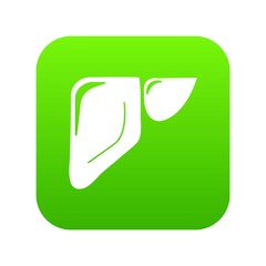 Liver icon green vector isolated on white background
