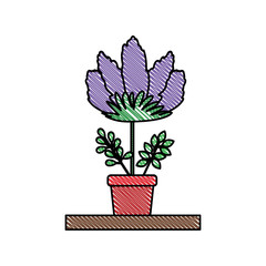 beautiful flower in pot houseplant vector illustration design