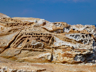 Natur Pur