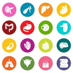 Internal human organs icons set vector colorful circles isolated on white background 