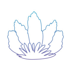 beautiful flower decorative icon vector illustration design