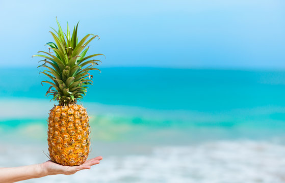 Hand holding pineapple fruit on the beach. 