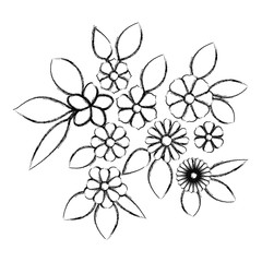 flowers and leafs garden decorative vector illustration design