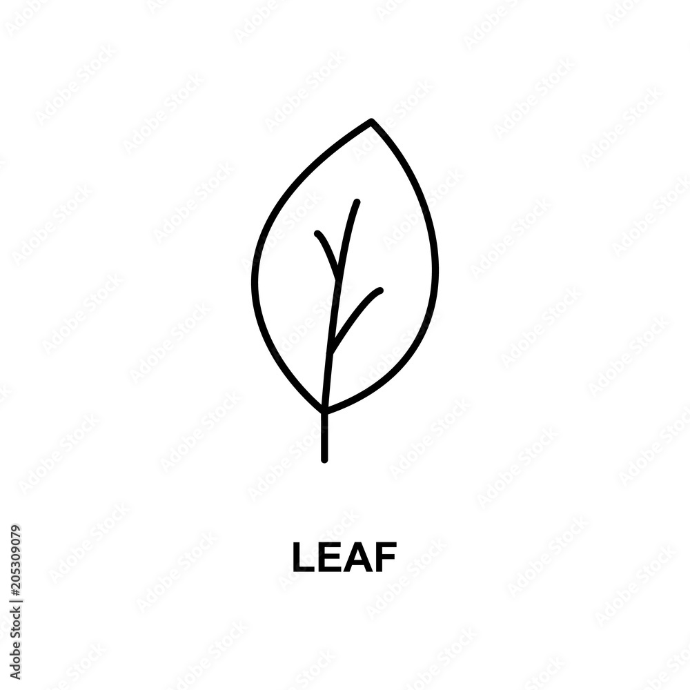 Poster leaf icon. element of simple web icon with name for mobile concept and web apps. thin line leaf icon
