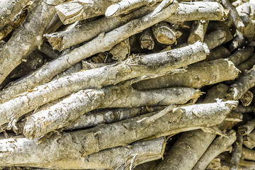 Fototapeta na wymiar Natural wooden background - closeup pile of firewood. Preparation of firewood for the winter and use for cooking, firewood background, Stacks of firewood in the forest.