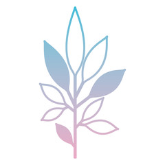 branch with leafs decorative icon vector illustration design