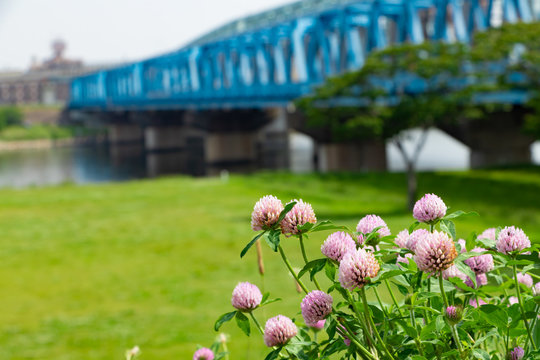 1 718 件の最適な 荒川河川敷 画像 ストック写真 ベクター Adobe Stock