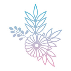 sunflower and leafs decorative icon vector illustration design