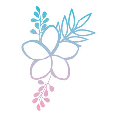 flower and leafs decorative icon vector illustration design